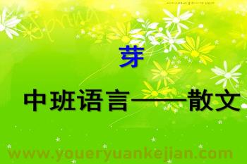 中班散文课件PPT《芽》PPT课件图片