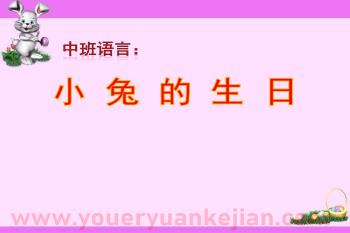 中班语言课件PPT《小兔的生日》PPT课件图片