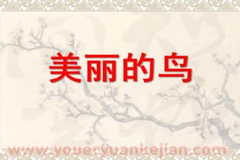 中班综合课件PPT《美丽的鸟》PPT课件图片