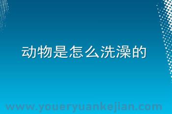 大班课件PPT《动物是如何洗澡的》PPT课件图片