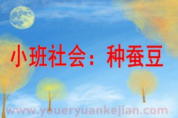 小班科学活动课件PPT《种蚕豆》PPT课件图片
