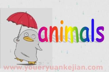 animals儿童英语动物PPT课件图片