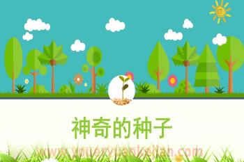 中班科学课件PPT《神奇的种子》PPT课件图片