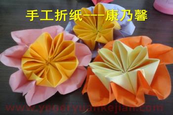 大班手工课件PPT《康乃馨》PPT课件图片