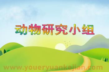 大班综合课件PPT《动物研究小组》PPT课件图片