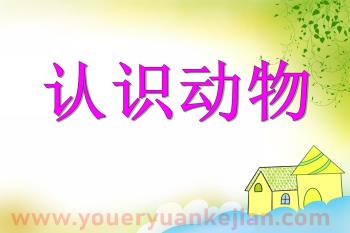 小班英语课件PPT《动物名称》PPT课件图片