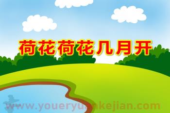 中班语言活动课件PPT《荷花荷花几月开》PPT课件图片