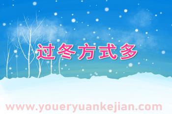 大班科学活动课件PPT《过冬方式多》PPT课件图片