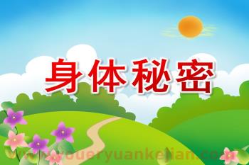大班健康活动课件PPT《身体秘密》PPT课件图片