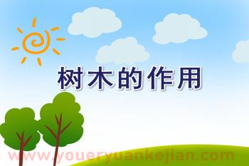 大班社会课件PPT《树木的作用》PPT课件图片