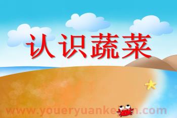 小班健康课件PPT《认识蔬菜》PPT课件图片