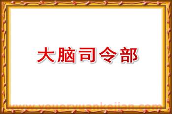 大班健康课件PPT《大脑总司令》PPT课件图片