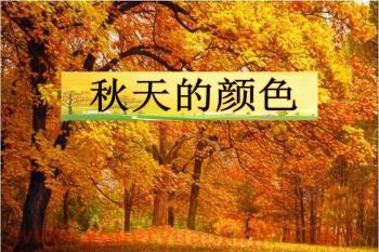 中班语言课件课件PPT《秋天的颜色》PPT课件图片