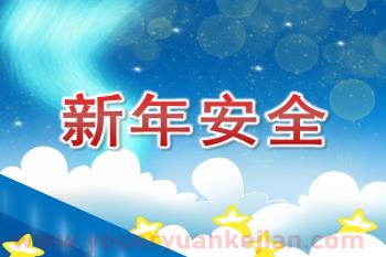 大班课件PPT《新年安全》PPT课件图片