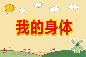 中班艺术舞蹈课件PPT《我的身体》PPT课件图片