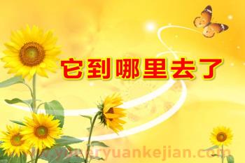 大班科学课件PPT《它到哪里去了》PPT课件图片