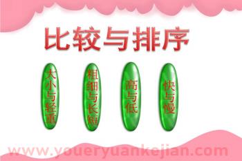 学前班数学课件PPT《比较与排序》PPT课件图片
