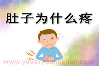 大班健康课件PPT《肚子为什么会疼》PPT课件图片