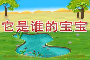 小班科学活动课件PPT《它是谁的宝宝》PPT课件图片