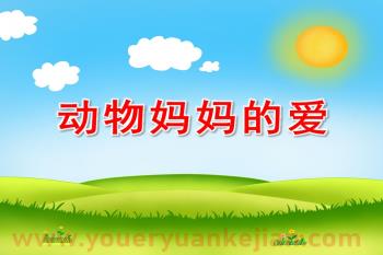 中班社会语言课件PPT《动物妈妈的爱》PPT课件图片