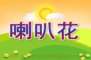 小班音乐课件PPT《喇叭花》PPT课件图片