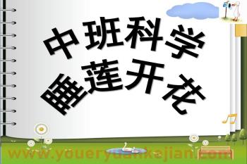 中班科学课件PPT《睡莲开花》PPT课件图片