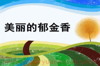 小班美术课件PPT《美丽的郁金香》PPT课件图片