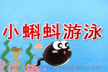 小班美术课件PPT《小蝌蚪游泳》PPT课件音乐图片