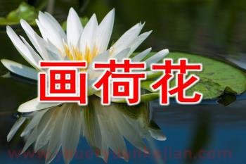 小班艺术课件PPT《画荷花》PPT课件图片